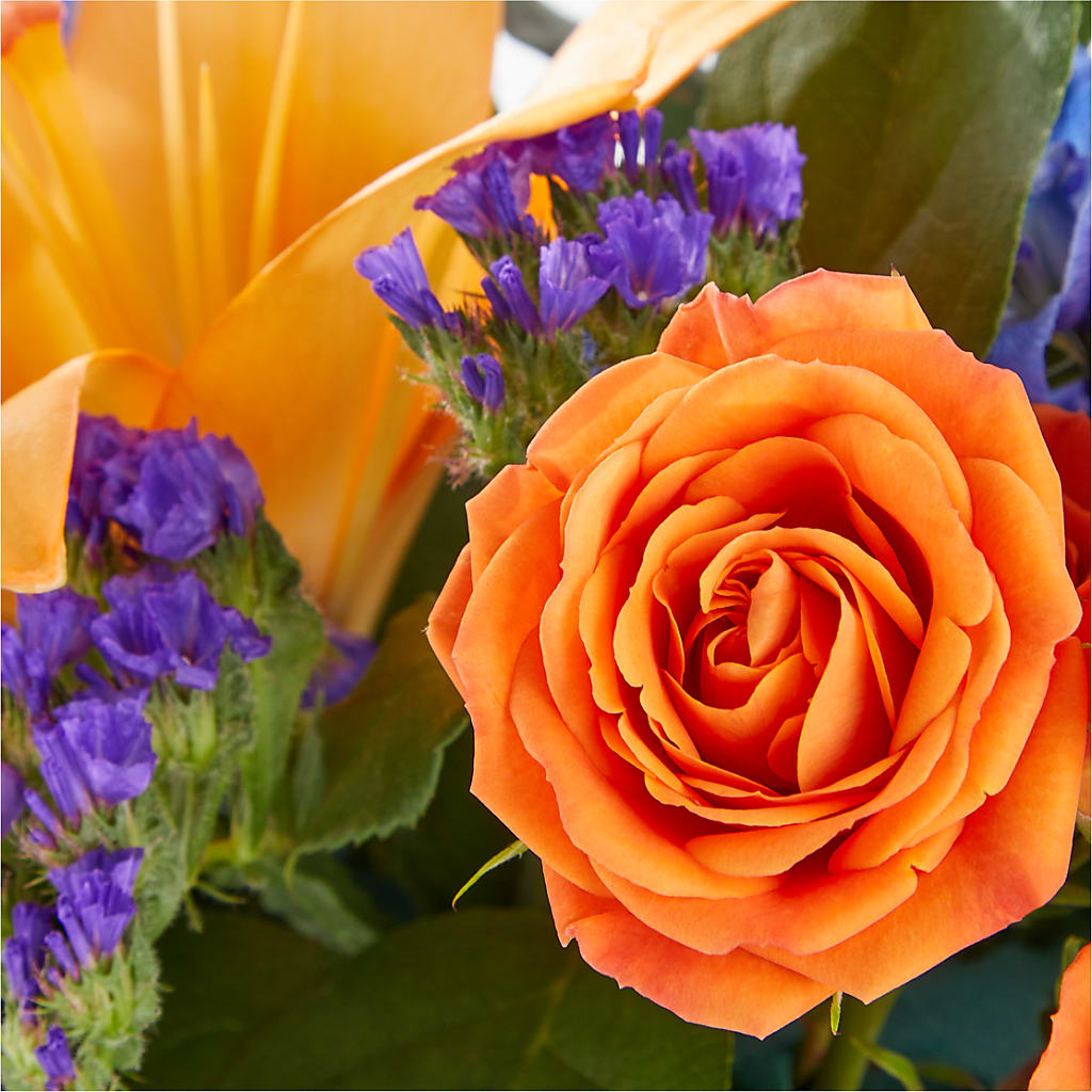 Radiant Citrus Box Bouquet – Awesome Blossom Flowers And Gifts, Citrus Heights CA