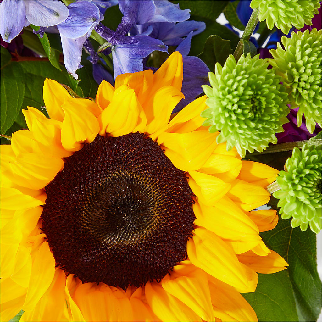 Catching Rays Bouquet – Awesome Blossom Flowers And Gifts, Citrus Heights CA