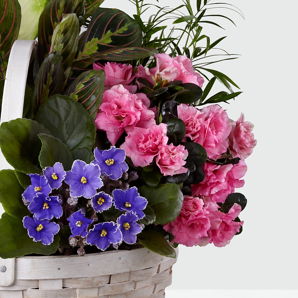 Peaceful Garden Planter – Awesome Blossom Flowers And Gifts, Citrus Heights CA