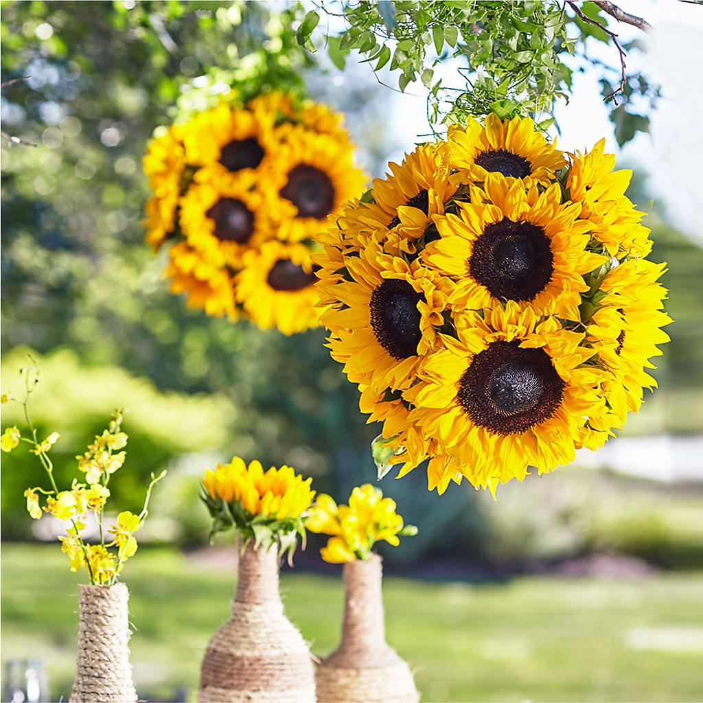 Sublime Garden Hanging Arrangement – Awesome Blossom Flowers And Gifts, Citrus Heights CA