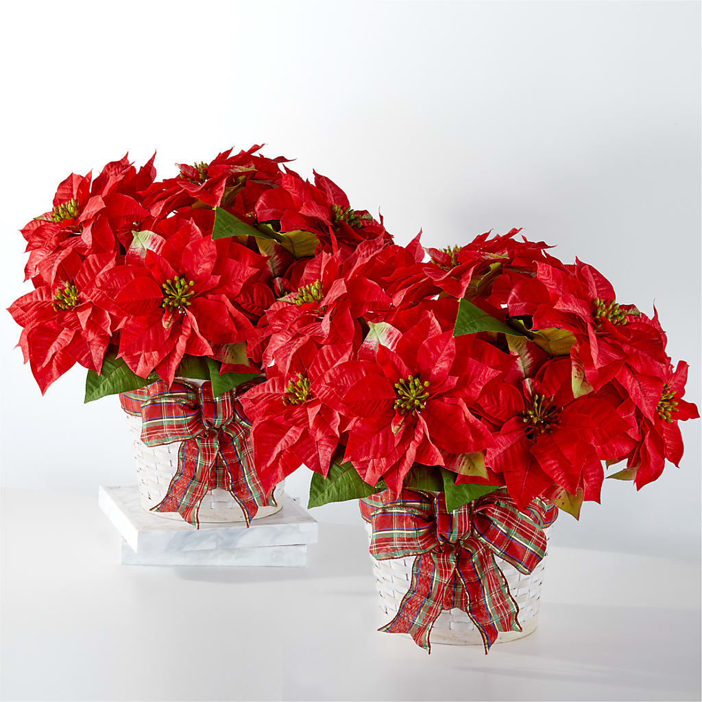 Happiest Holidays Poinsettia Bundle –  Awesome Blossom Flowers And Gifts, Citrus Heights CA