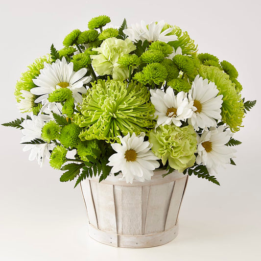 Lucky Charm Basket (Standard) –  Awesome Blossom Flowers And Gifts, Citrus Heights CA