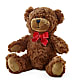 Adorable Plush Bear –  Awesome Blossom Flowers And Gifts, Citrus Heights CA