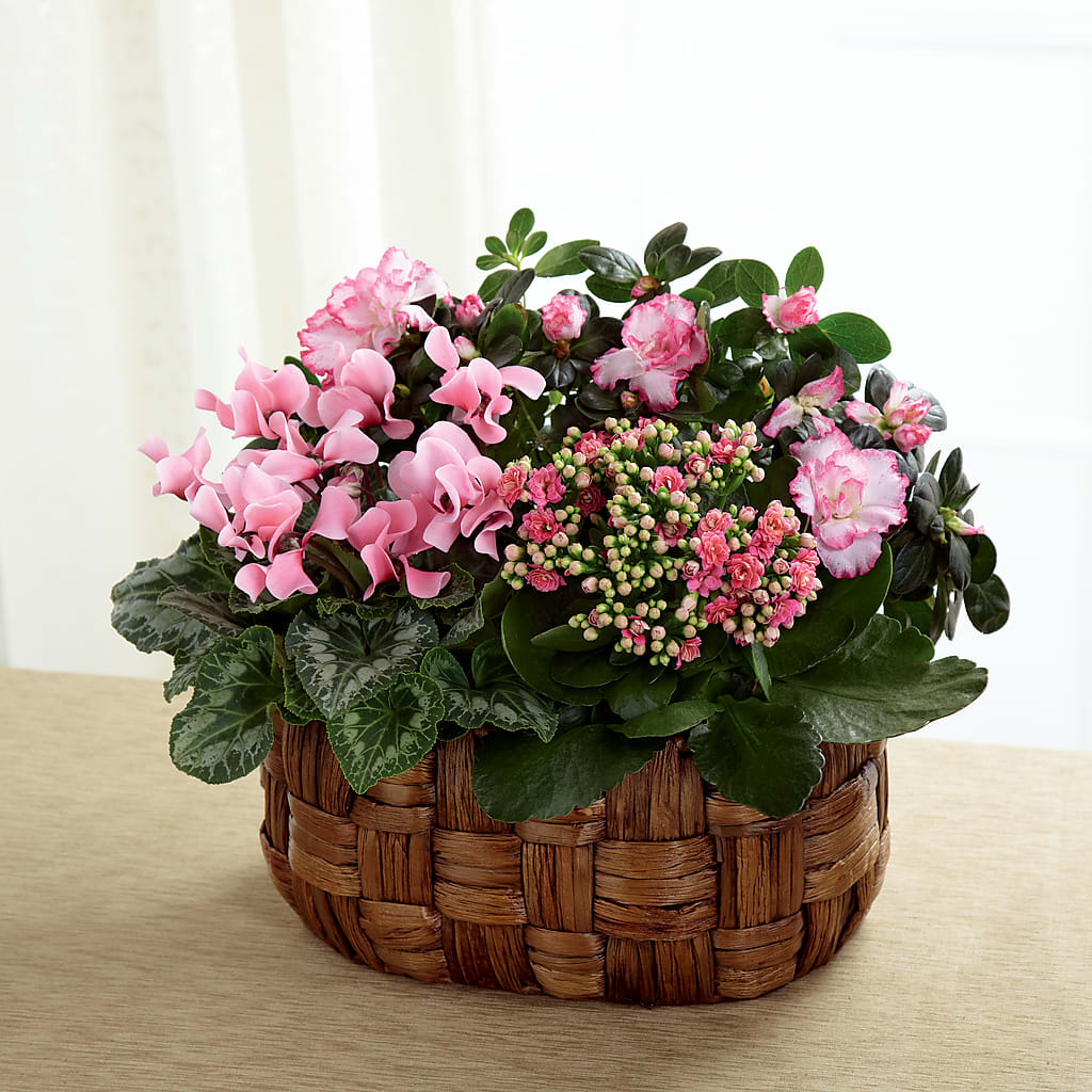 Pink Assortment –  Awesome Blossom Flowers And Gifts, Citrus Heights CA