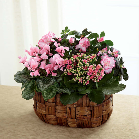 Pink Assortment –  Awesome Blossom Flowers And Gifts, Citrus Heights CA