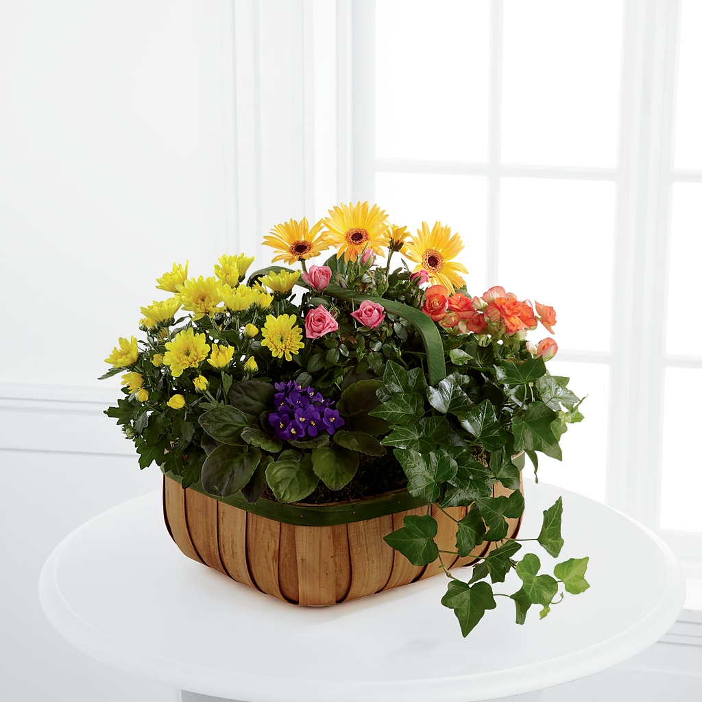 Gentle Blossoms Basket –  Awesome Blossom Flowers And Gifts, Citrus Heights CA