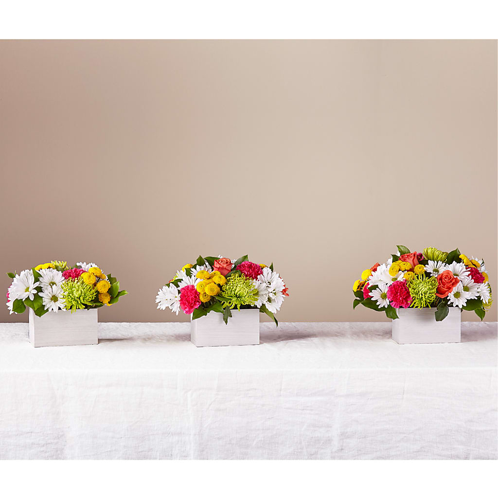Sorbet Bouquet –  Awesome Blossom Flowers And Gifts, Citrus Heights CA