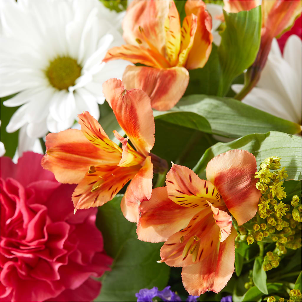 Oopsie Daisy Box Bouquet –  Awesome Blossom Flowers And Gifts, Citrus Heights CA