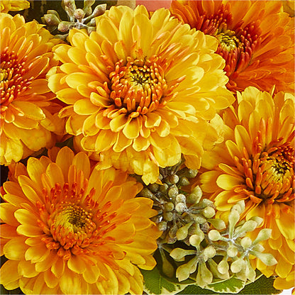 Peachy Pumpkin –  Awesome Blossom Flowers And Gifts, Citrus Heights CA