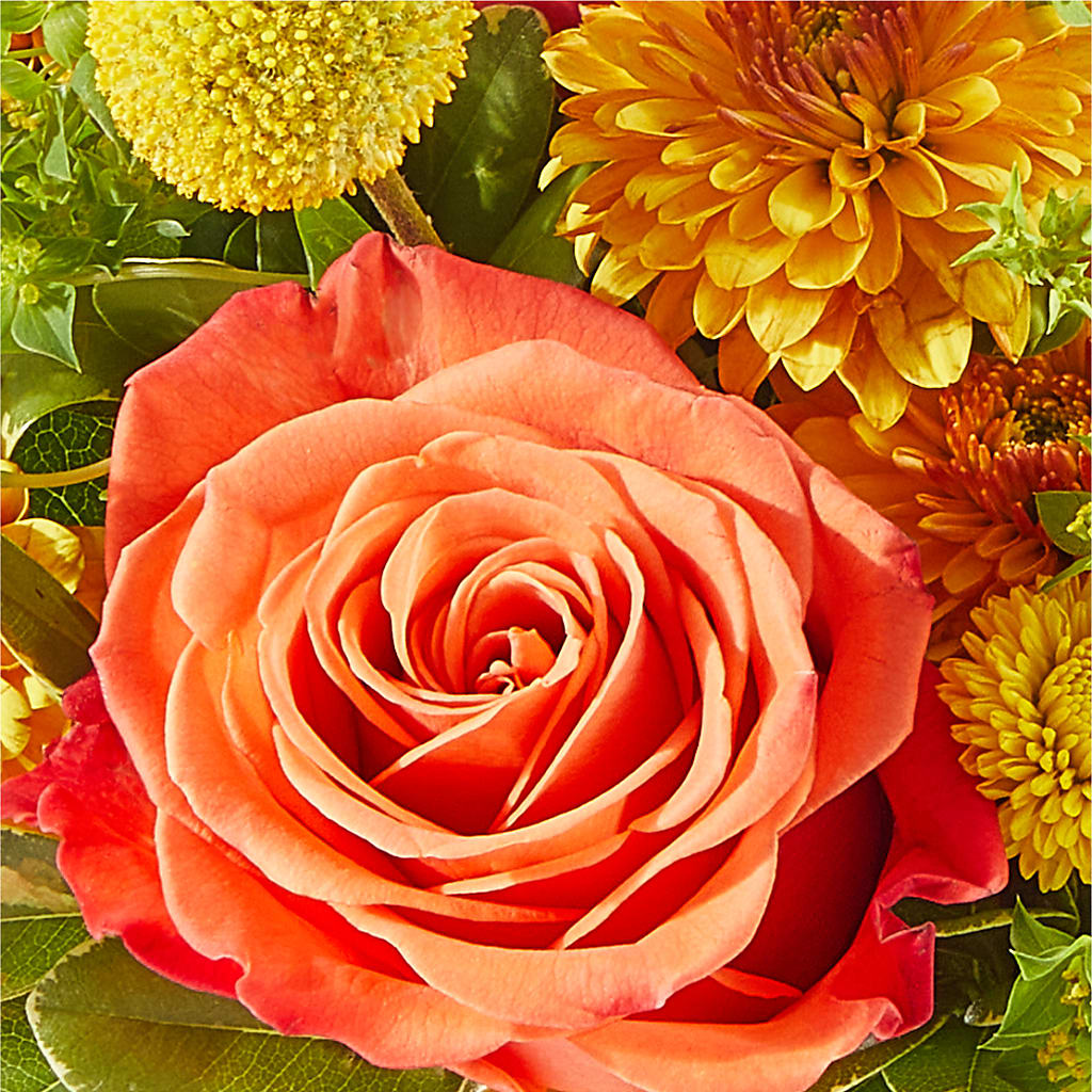 Gourdgeous Pumpkin –  Awesome Blossom Flowers And Gifts, Citrus Heights CA