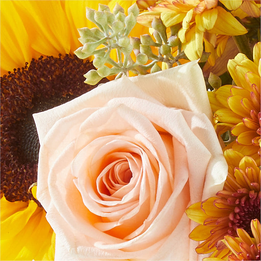 Pumpkin to Talk About Bouquet –  Awesome Blossom Flowers And Gifts, Citrus Heights CA