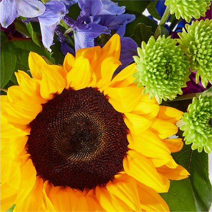 Catching Rays Bouquet –  Awesome Blossom Flowers And Gifts, Citrus Heights CA