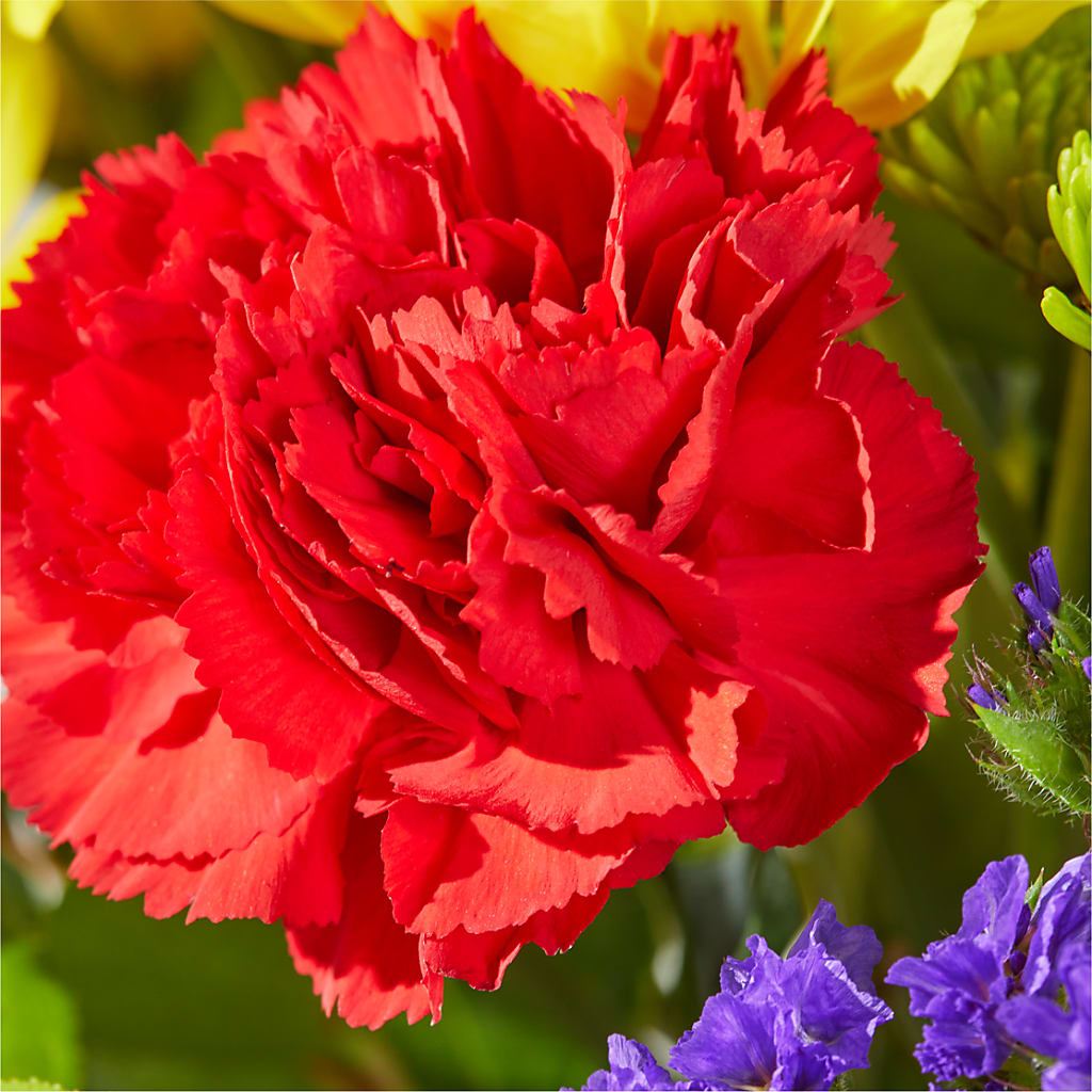 Brighter Days Bouquet –  Awesome Blossom Flowers And Gifts, Citrus Heights CA