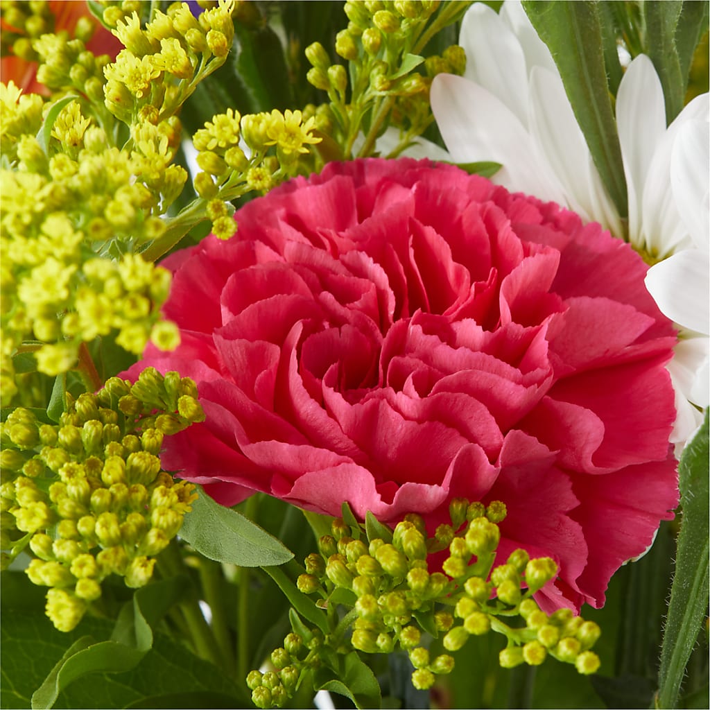 Oopsie Daisy Bouquet –  Awesome Blossom Flowers And Gifts, Citrus Heights CA