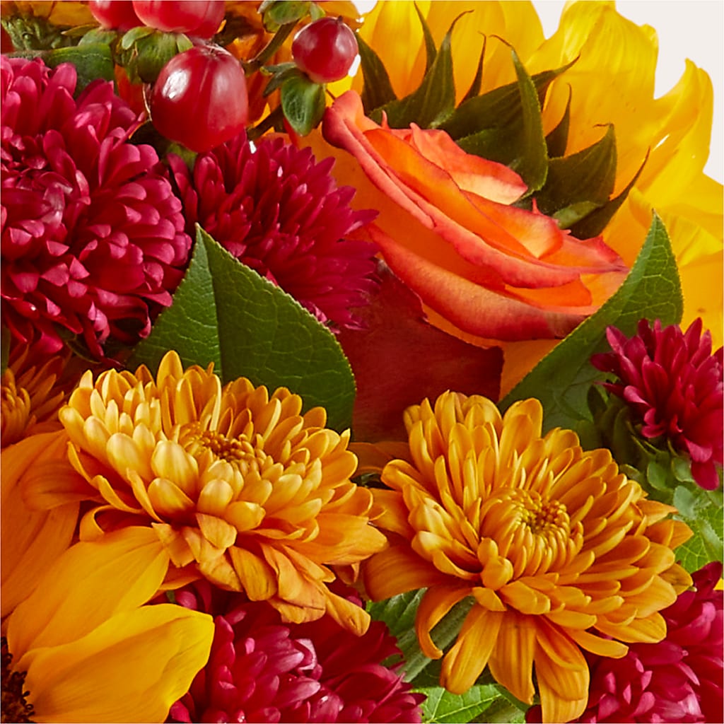 Sweater Season - A Florist Original –  Awesome Blossom Flowers And Gifts, Citrus Heights CA