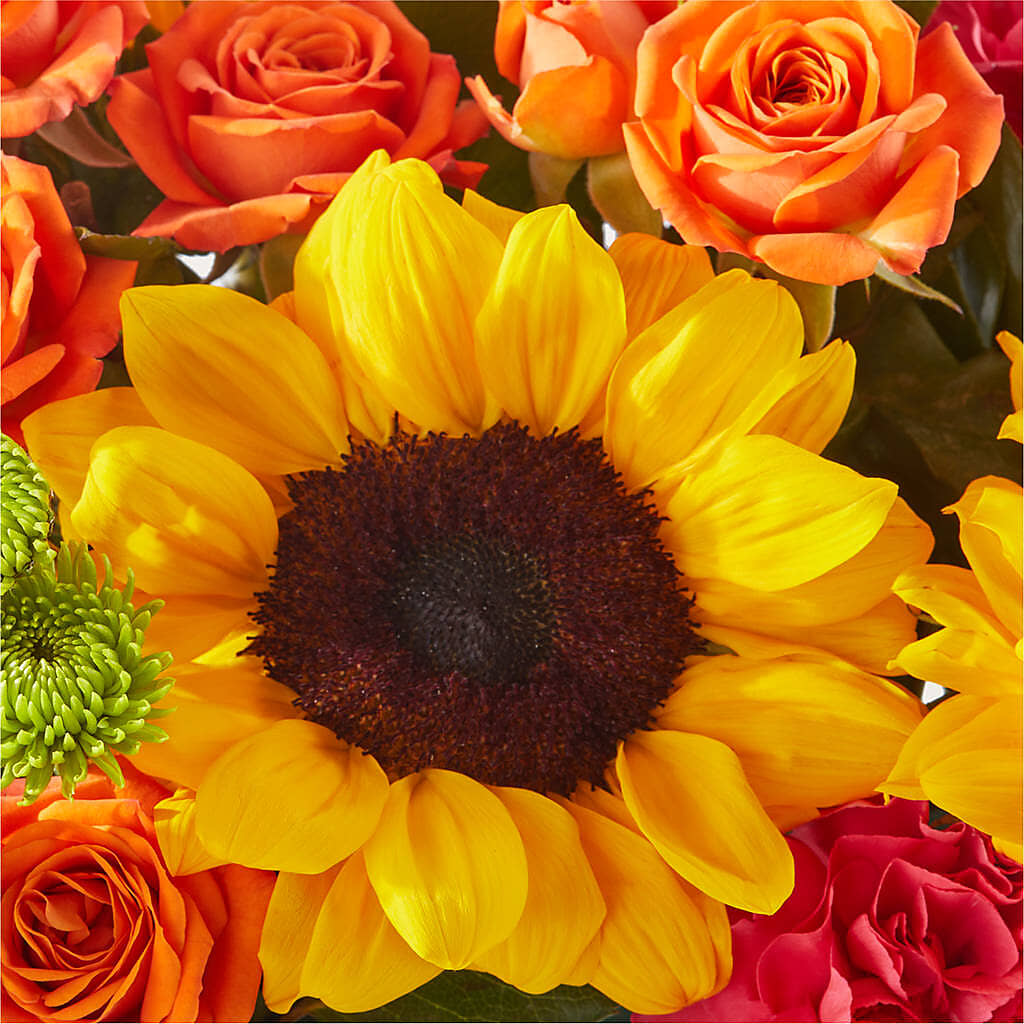Sun-drenched Blooms Box Bouquet –  Awesome Blossom Flowers And Gifts, Citrus Heights CA