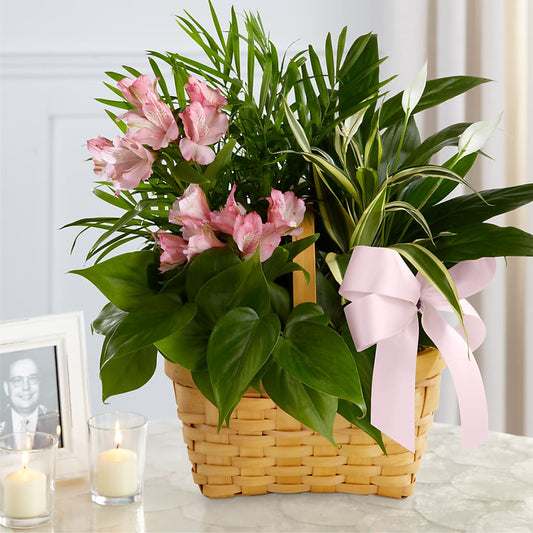 Living Spirit Dishgarden –  Awesome Blossom Flowers And Gifts, Citrus Heights CA