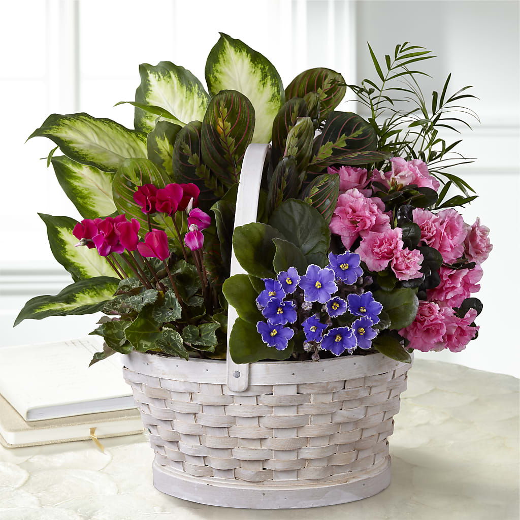 Peaceful Garden Planter –  Awesome Blossom Flowers And Gifts, Citrus Heights CA