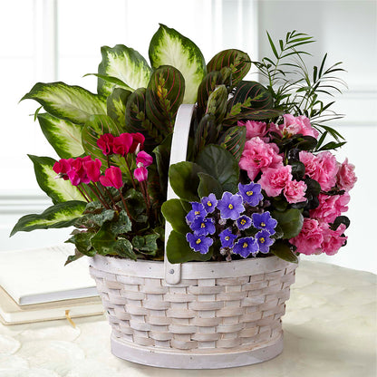 Peaceful Garden Planter –  Awesome Blossom Flowers And Gifts, Citrus Heights CA