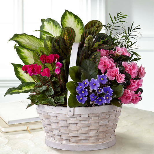 Peaceful Garden Planter –  Awesome Blossom Flowers And Gifts, Citrus Heights CA