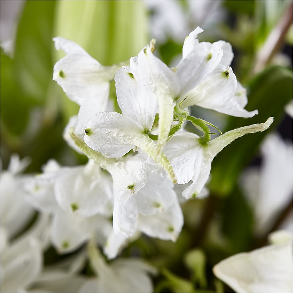 Classic Ivory – A Florist Original –  Awesome Blossom Flowers And Gifts, Citrus Heights CA