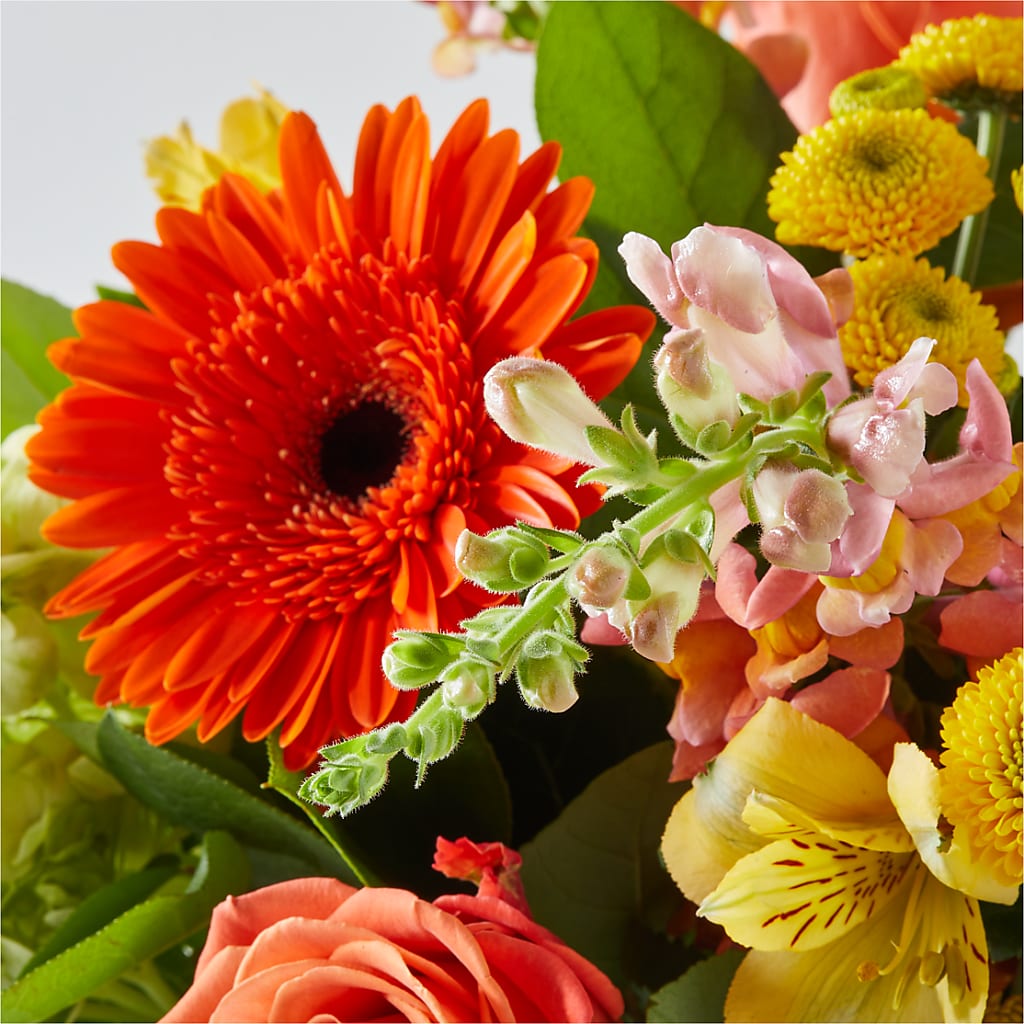 Autumn Sunshine Bouquet –  Awesome Blossom Flowers And Gifts, Citrus Heights CA
