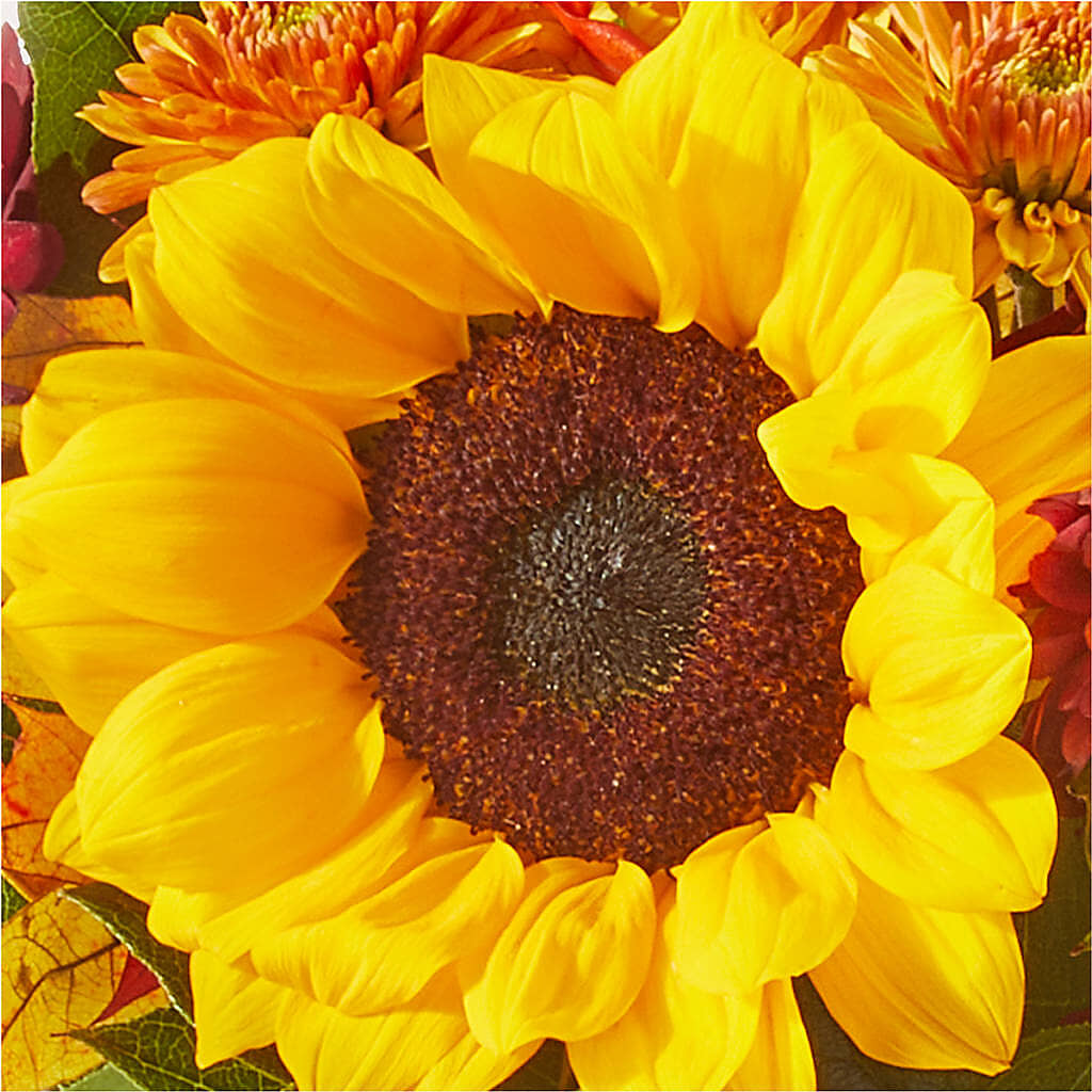 Sunny Side Bouquet –  Awesome Blossom Flowers And Gifts, Citrus Heights CA