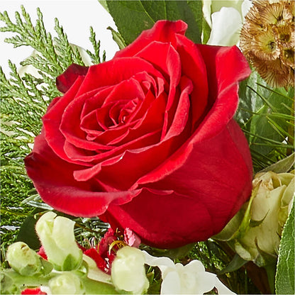 Deck the Halls Bouquet –  Awesome Blossom Flowers And Gifts, Citrus Heights CA