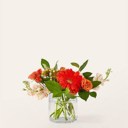 Paloma Please Bouquet –  Awesome Blossom Flowers And Gifts, Citrus Heights CA
