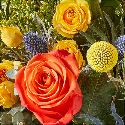 Disco Bouquet –  Awesome Blossom Flowers And Gifts, Citrus Heights CA