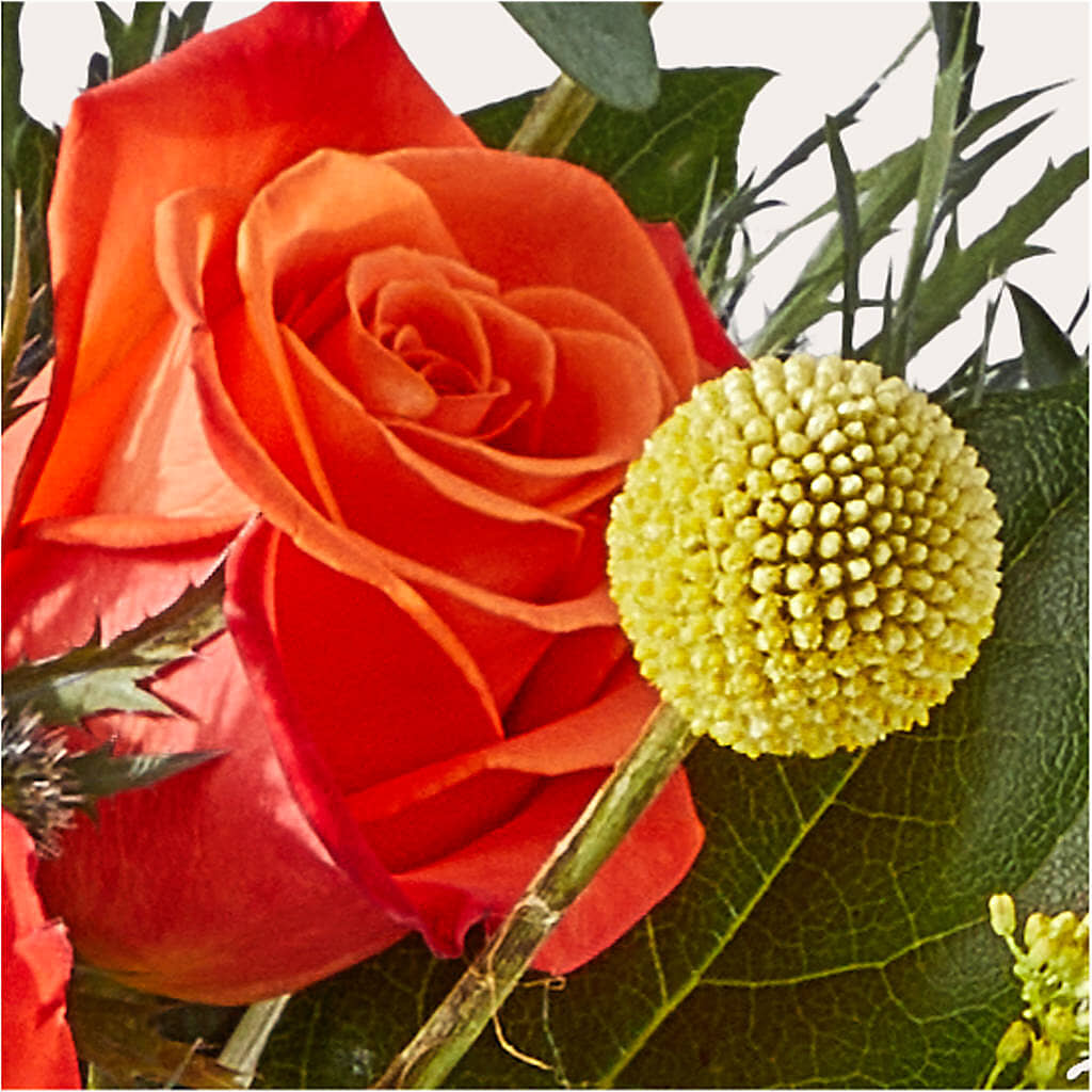 Disco Bouquet –  Awesome Blossom Flowers And Gifts, Citrus Heights CA