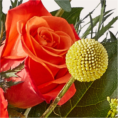 Disco Bouquet –  Awesome Blossom Flowers And Gifts, Citrus Heights CA