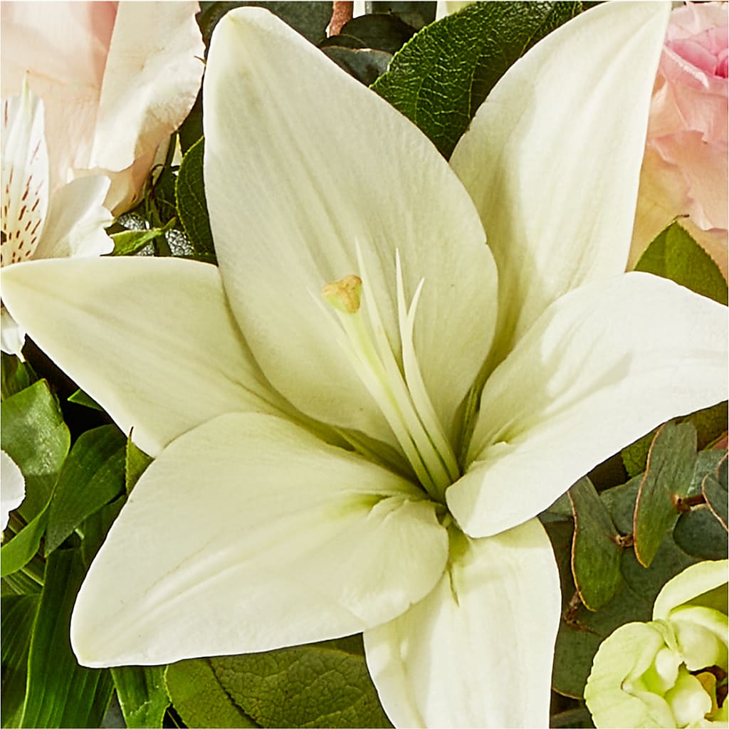 Ballet Slippers Bouquet –  Awesome Blossom Flowers And Gifts, Citrus Heights CA