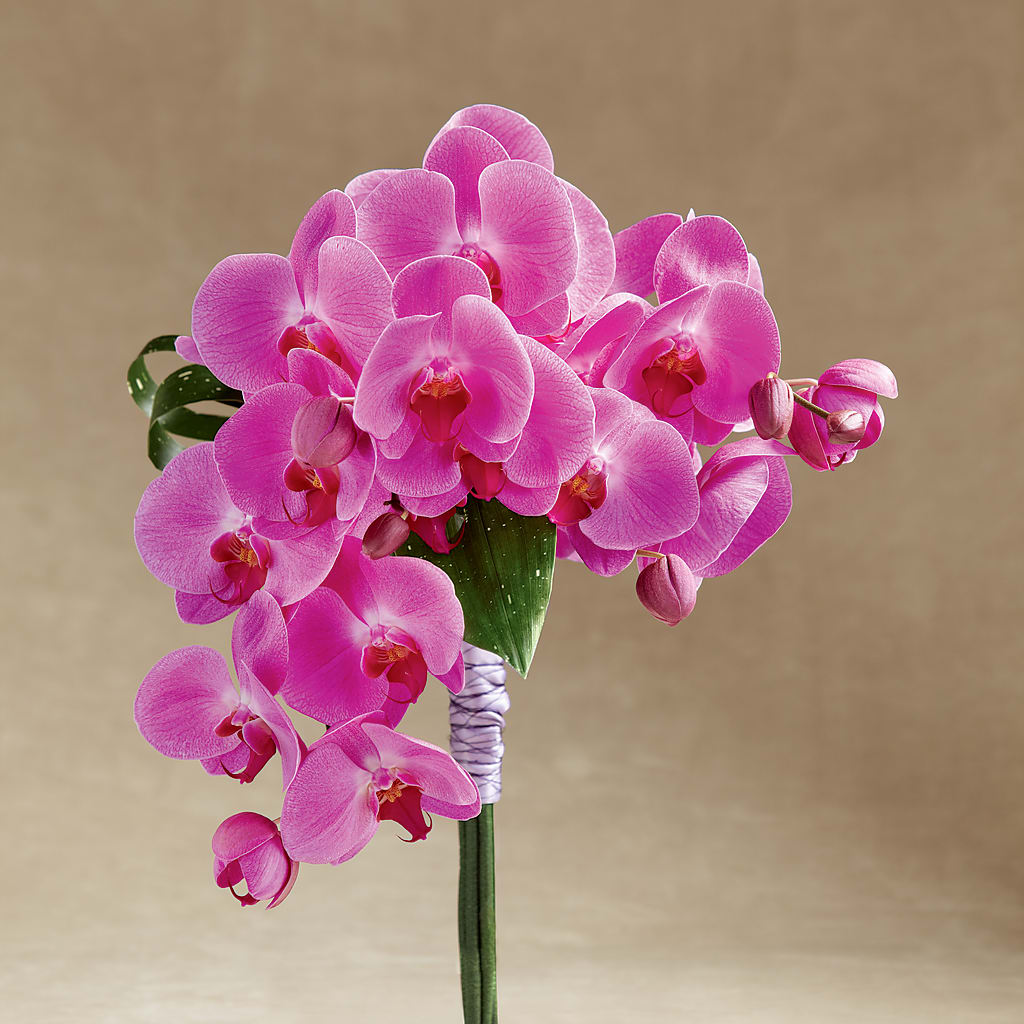Glorious Bouquet –  Awesome Blossom Flowers And Gifts, Citrus Heights CA