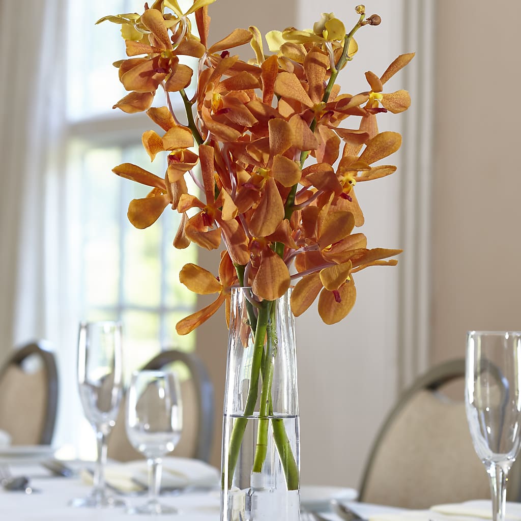 Orange Mokara Bud Vase –  Awesome Blossom Flowers And Gifts, Citrus Heights CA