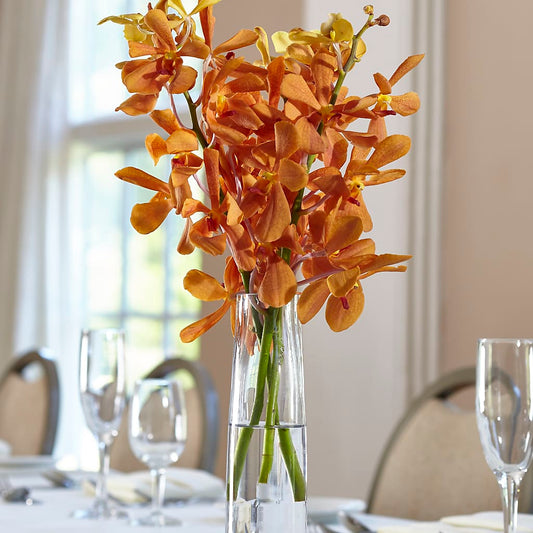 Orange Mokara Bud Vase –  Awesome Blossom Flowers And Gifts, Citrus Heights CA
