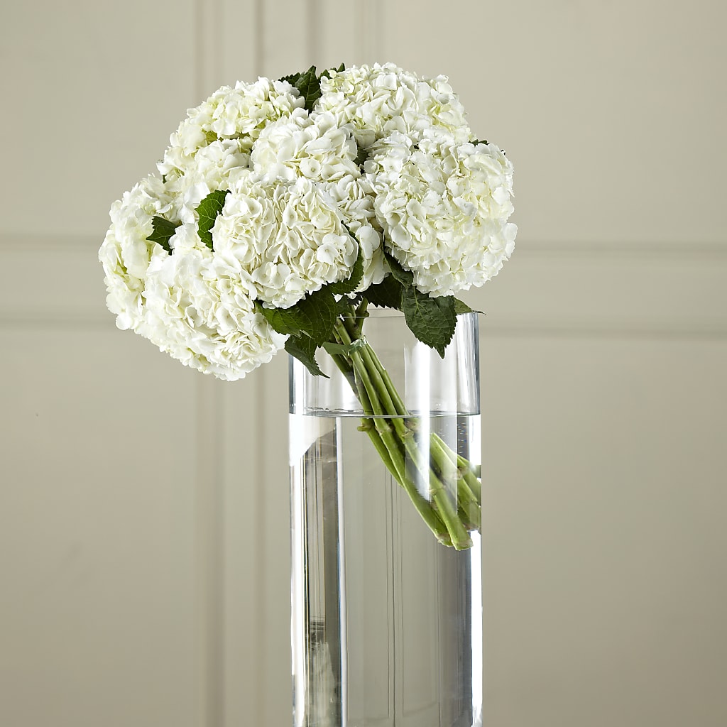White Hydrangea Hand-Tied Bouquet –  Awesome Blossom Flowers And Gifts, Citrus Heights CA