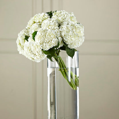 White Hydrangea Hand-Tied Bouquet –  Awesome Blossom Flowers And Gifts, Citrus Heights CA