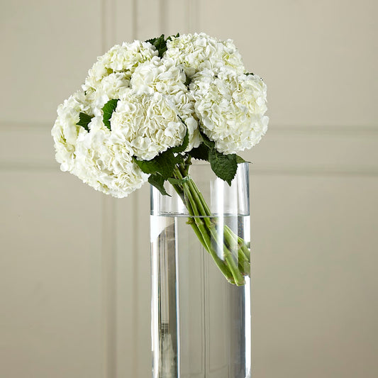 White Hydrangea Hand-Tied Bouquet –  Awesome Blossom Flowers And Gifts, Citrus Heights CA