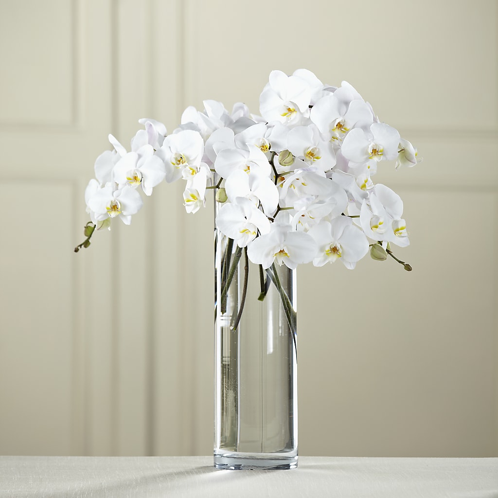 White Phalaenopsis Bouquet –  Awesome Blossom Flowers And Gifts, Citrus Heights CA