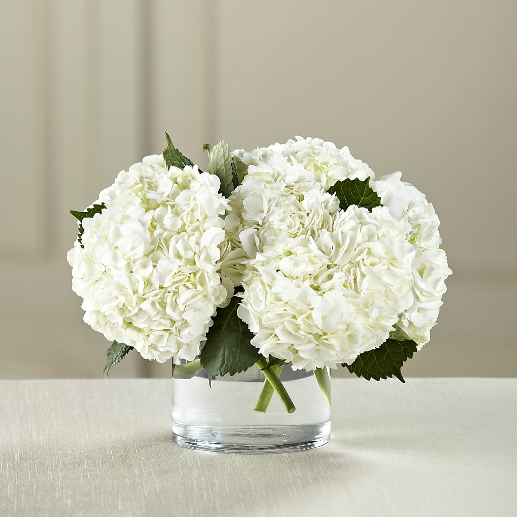 White Hydrangea Bouquet –  Awesome Blossom Flowers And Gifts, Citrus Heights CA
