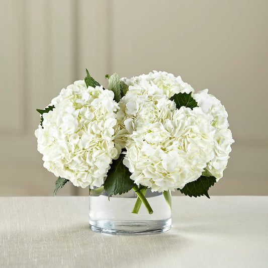 White Hydrangea Bouquet –  Awesome Blossom Flowers And Gifts, Citrus Heights CA